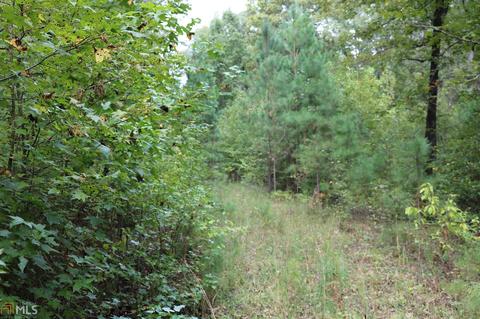 2129 Rocky Plains Rd, Covington, GA 30016 photo 20