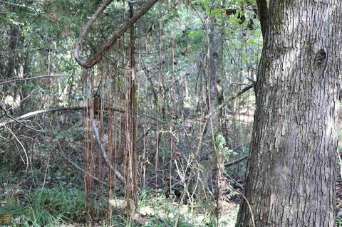 2129 Rocky Plains Rd, Covington, GA 30016 photo 5