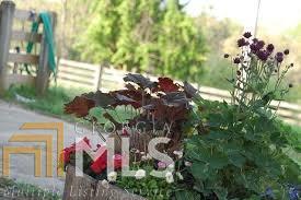 704 Ayersville Rd, Toccoa, GA 30577 photo 32