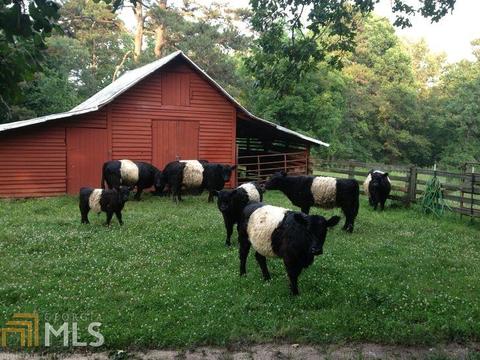 704 Ayersville Rd, Toccoa, GA 30577 photo 28