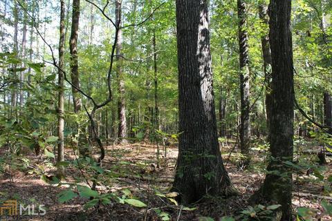 1845 Cunningham Rd, Rome, GA 30161 photo 8