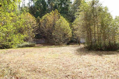 157 Mountain View Ln, Clarkesville, GA 30523 photo 5