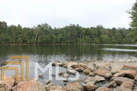 12383 Hillcrest Dr, Hampton, GA 30228 photo 17
