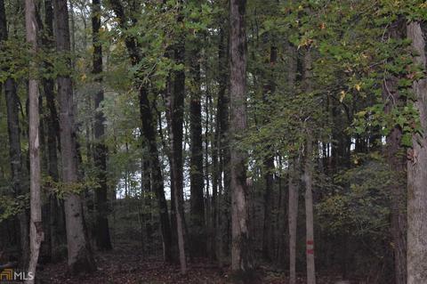73 Pine Cv Dr, Lagrange, GA 30240 photo 2