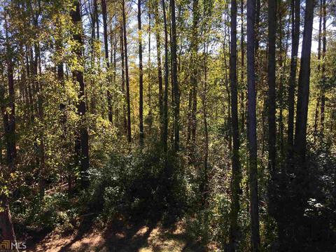 337 Centennial Dr, Bethlehem, GA 30620 photo 24