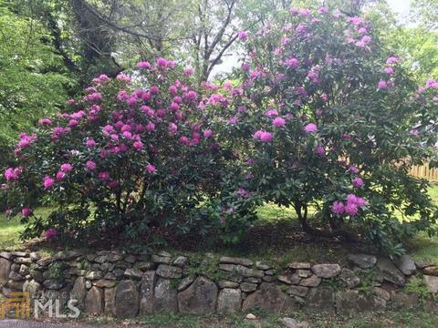 716 Highway 246, Dillard, GA 30537 photo 21