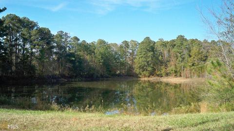 368 Cauthen Rd, Milner, GA 30257 photo 14