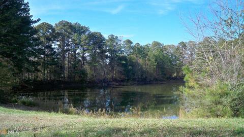 368 Cauthen Rd, Milner, GA 30257 photo 24