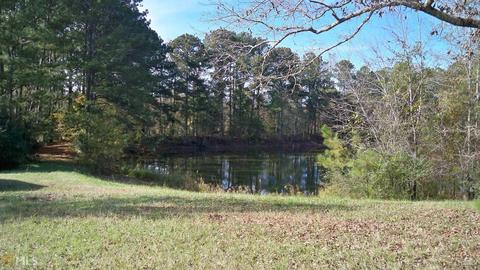 368 Cauthen Rd, Milner, GA 30257 photo 13