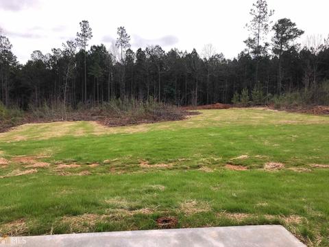 233 Needleleaf Dr, Barnesville, GA 30204 photo 16