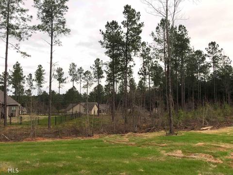 233 Needleleaf Dr, Barnesville, GA 30204 photo 15