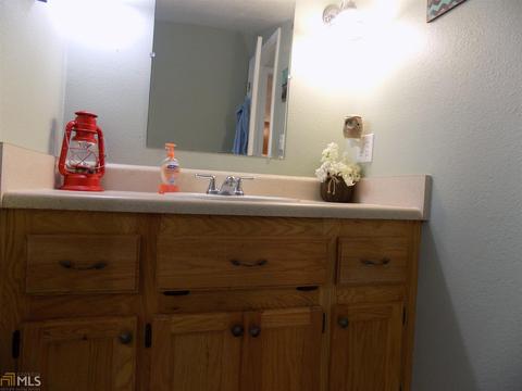 106 Spring St, Fairmount, GA 30139 photo 34