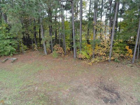 136 Goldleaf Dr, Hampton, GA 30228 photo 12