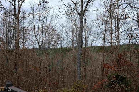 324 Carnes, Buchanan, GA 30113 photo 7