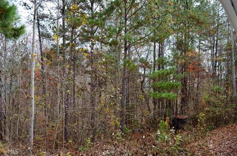 324 Carnes, Buchanan, GA 30113 photo 5