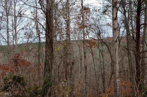 324 Carnes, Buchanan, GA 30113 photo 6