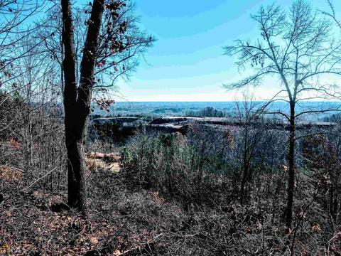 70 Trestle Pt, Toccoa, GA 30577 photo 20