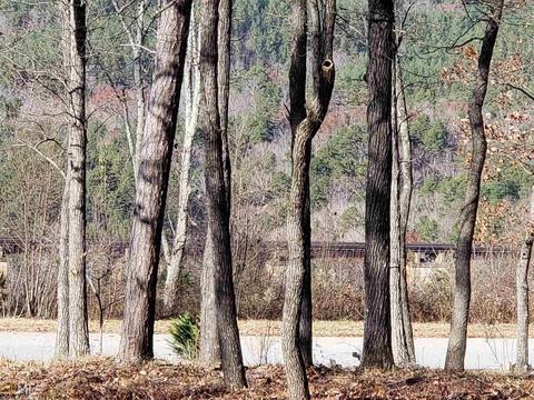 70 Trestle Pt, Toccoa, GA 30577 photo 3