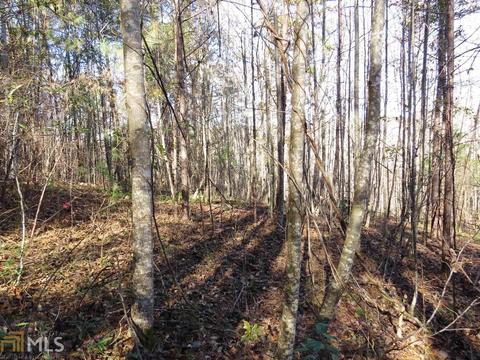 150 Northside Dr, Toccoa, GA 30577 photo 17