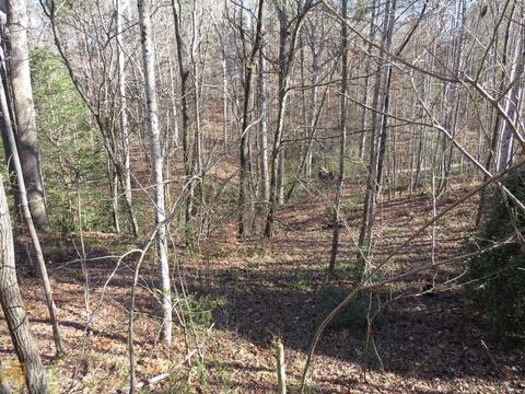 150 Northside Dr, Toccoa, GA 30577 photo 15