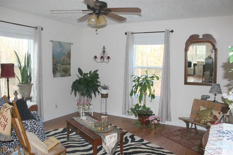 297 Mitchell Rd, Forsyth, GA 31029 photo 16