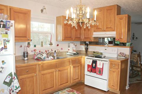 297 Mitchell Rd, Forsyth, GA 31029 photo 17