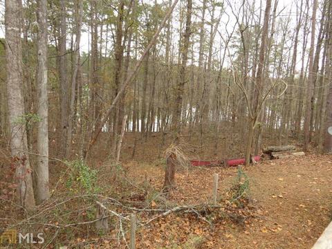 84 Eagle Claw Ct, Martin, GA 30557 photo 12
