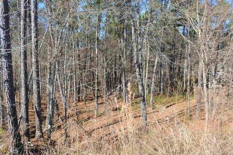 346 Willow Pt Dr, Lagrange, GA 30240 photo 6