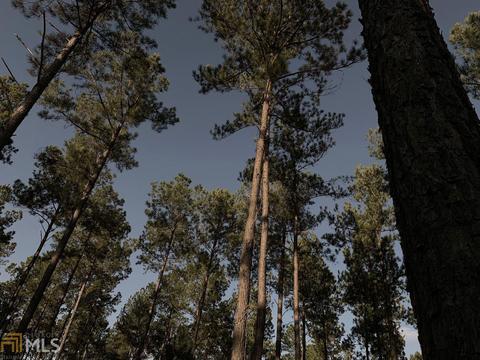 155 Pool Rd, Kite, GA 31049 photo 6