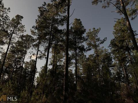 155 Pool Rd, Kite, GA 31049 photo 5