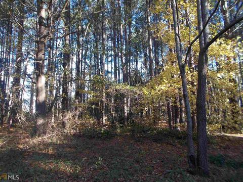 306 Russells Rd, Hampton, GA 30228 photo 5