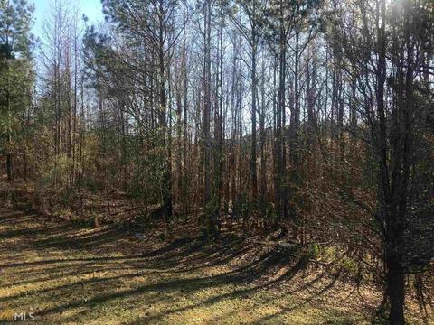 517 Vaughan Valley Vw, Hampton, GA 30228 photo 21