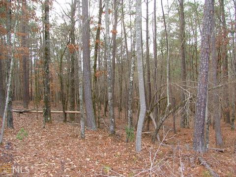 315 River Club Dr, Lagrange, GA 30240 photo 5