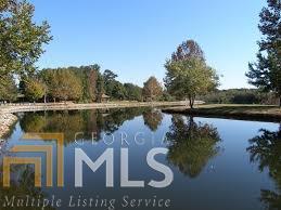 12232 Flannery Ln, Hampton, GA 30228 photo 22