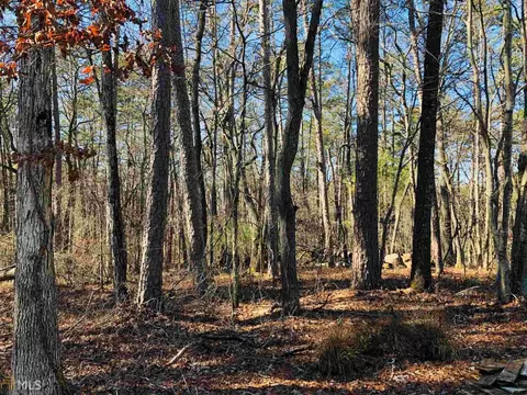 768 Riverwilde Rd, Clarkesville, GA 30523 photo 2