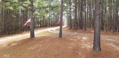 808 Cannafax Rd, Barnesville, GA 30204 photo 5