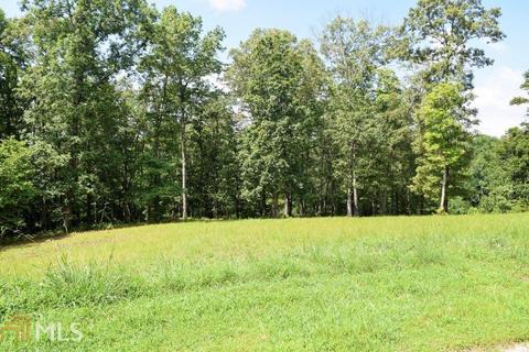 310 Sweetgrass Dr, Demorest, GA 30535 photo 9