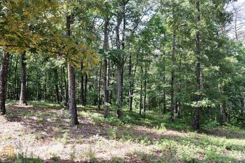 310 Sweetgrass Dr, Demorest, GA 30535 photo 10