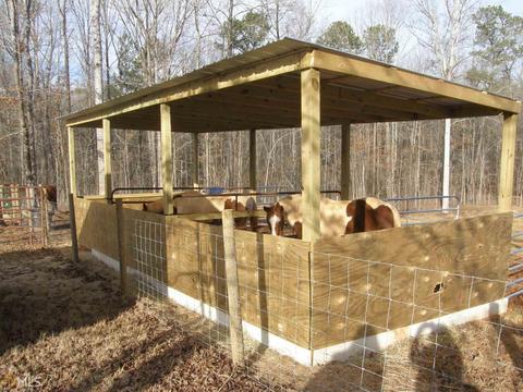 601 Elbert Jackson Rd, Forsyth, GA 31029 photo 11
