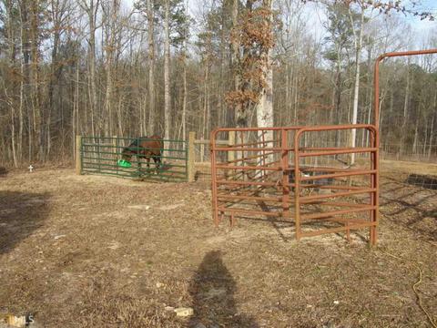 601 Elbert Jackson Rd, Forsyth, GA 31029 photo 14