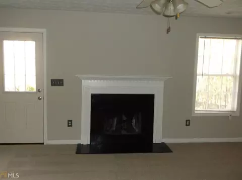 199 Makenna Dr, Hampton, GA 30228 photo 9