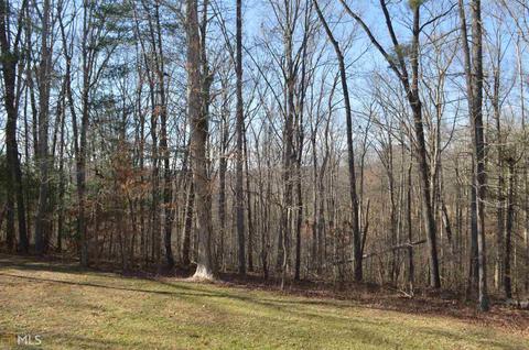 139 Maize Mill Path, Clarkesville, GA 30523 photo 33