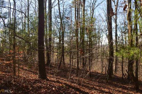 139 Maize Mill Path, Clarkesville, GA 30523 photo 34