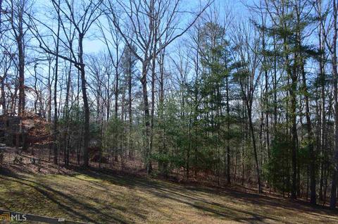 139 Maize Mill Path, Clarkesville, GA 30523 photo 32