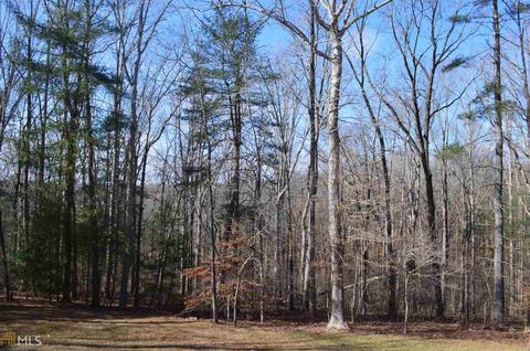 139 Maize Mill Path, Clarkesville, GA 30523 photo 31