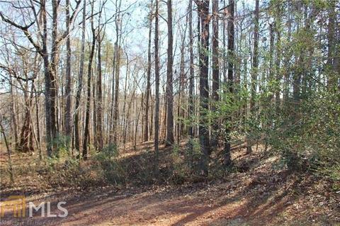 12358 Edgewater Dr, Hampton, GA 30228 photo 3