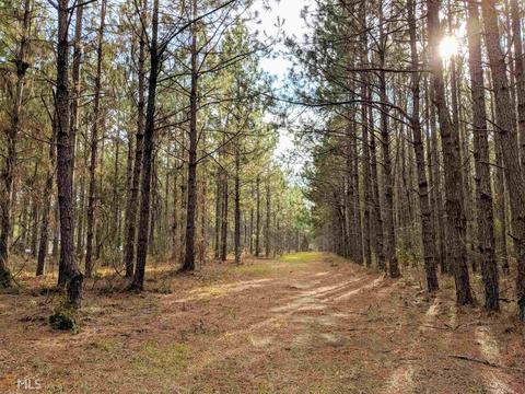 190 Paul Smith Rd, Brooklet, GA 30415 photo 6