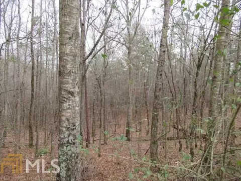 306 Co Rd 313, Delta, AL 36258 photo 10