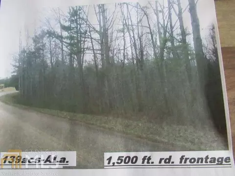 306 Co Rd 313, Delta, AL 36258 photo 14