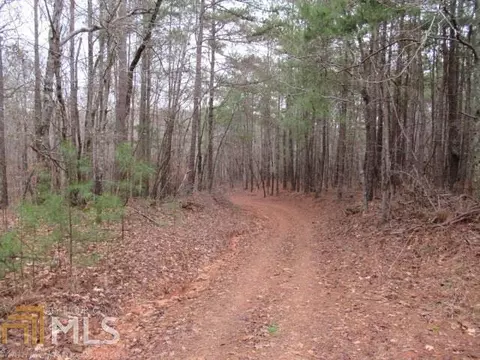306 Co Rd 313, Delta, AL 36258 photo 3